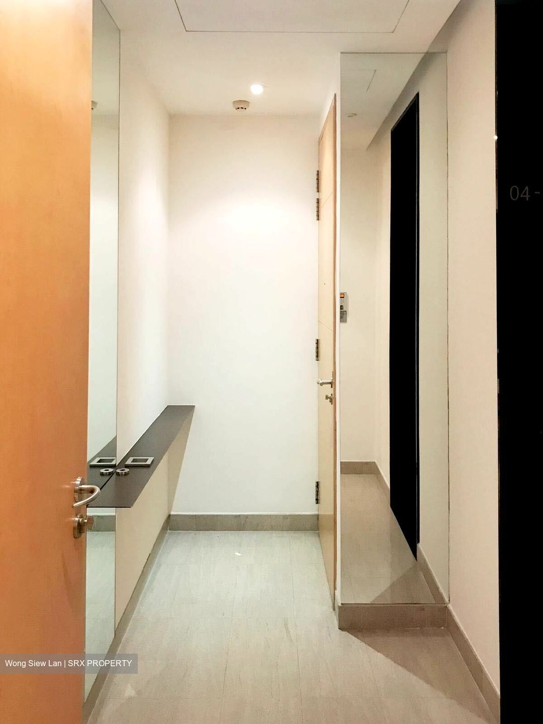 The Light @ Cairnhill (D9), Condominium #352364791